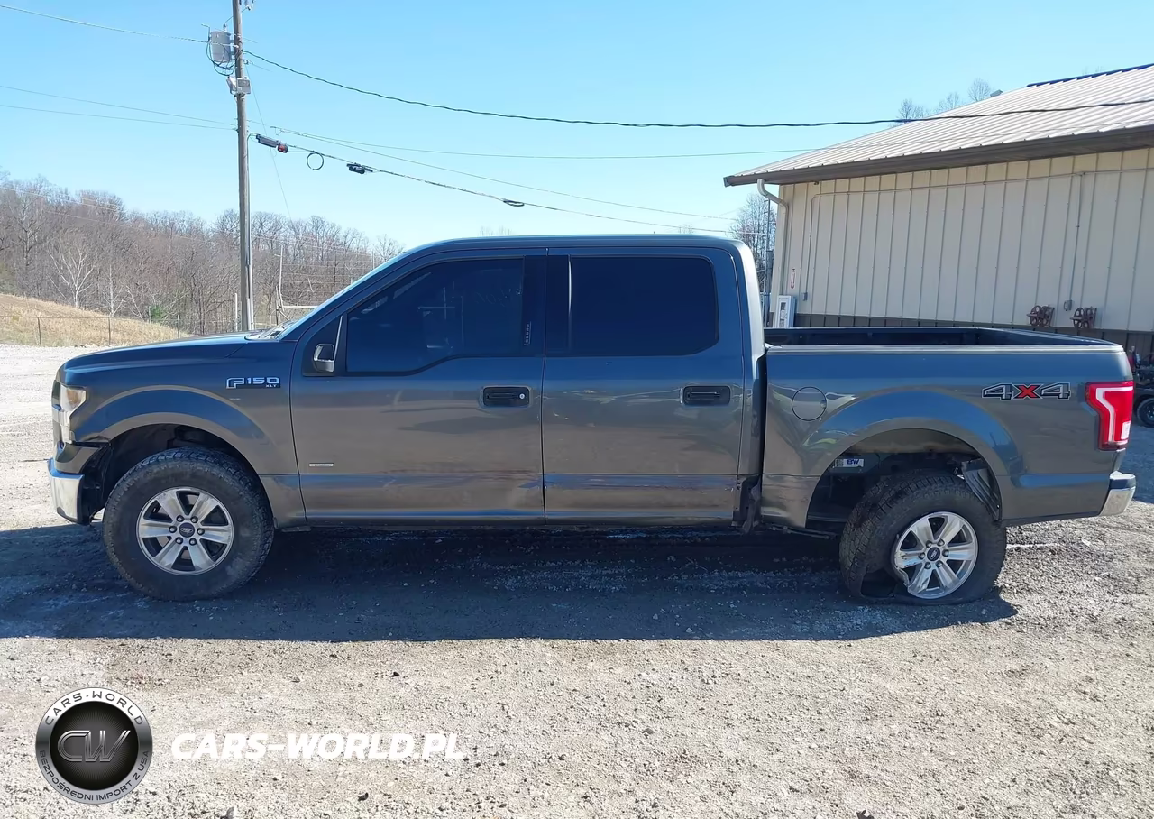 2015 Ford F-150 Xlt VIN:1FTEW1EG9FFA73521 - 15
