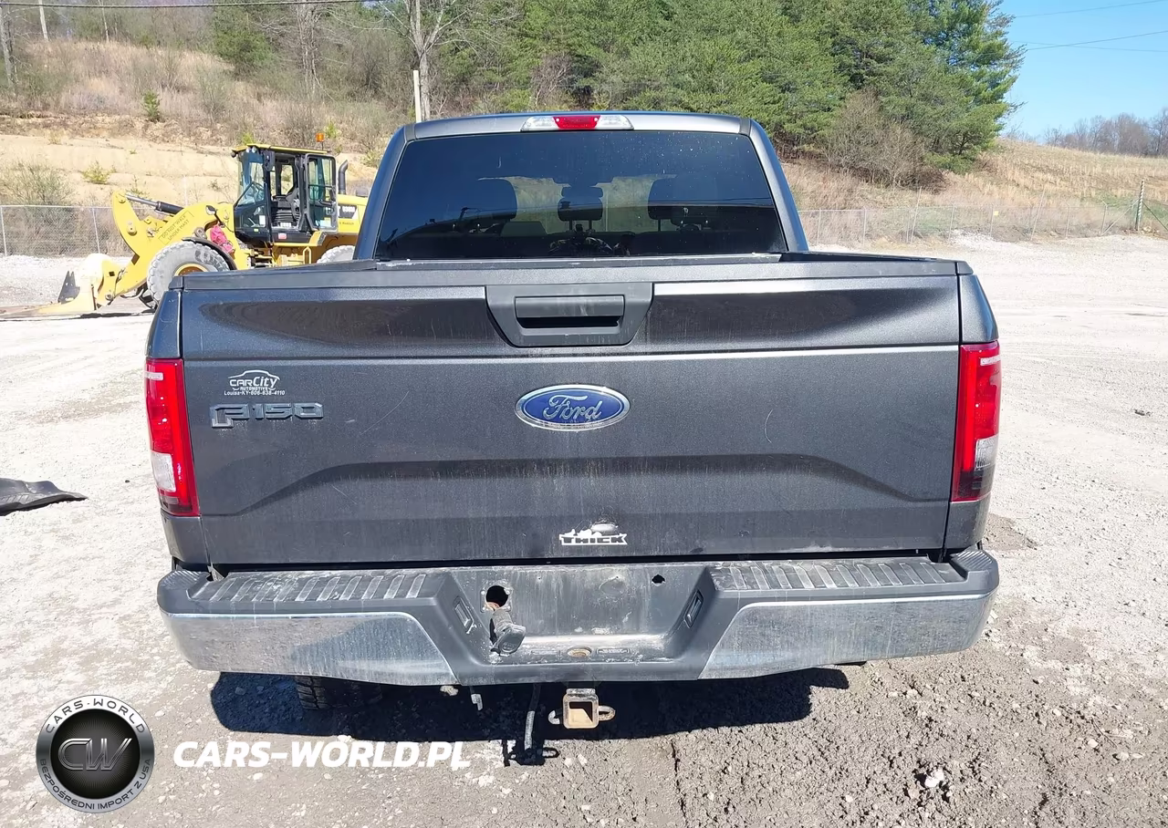 2015 Ford F-150 Xlt VIN:1FTEW1EG9FFA73521 - 17