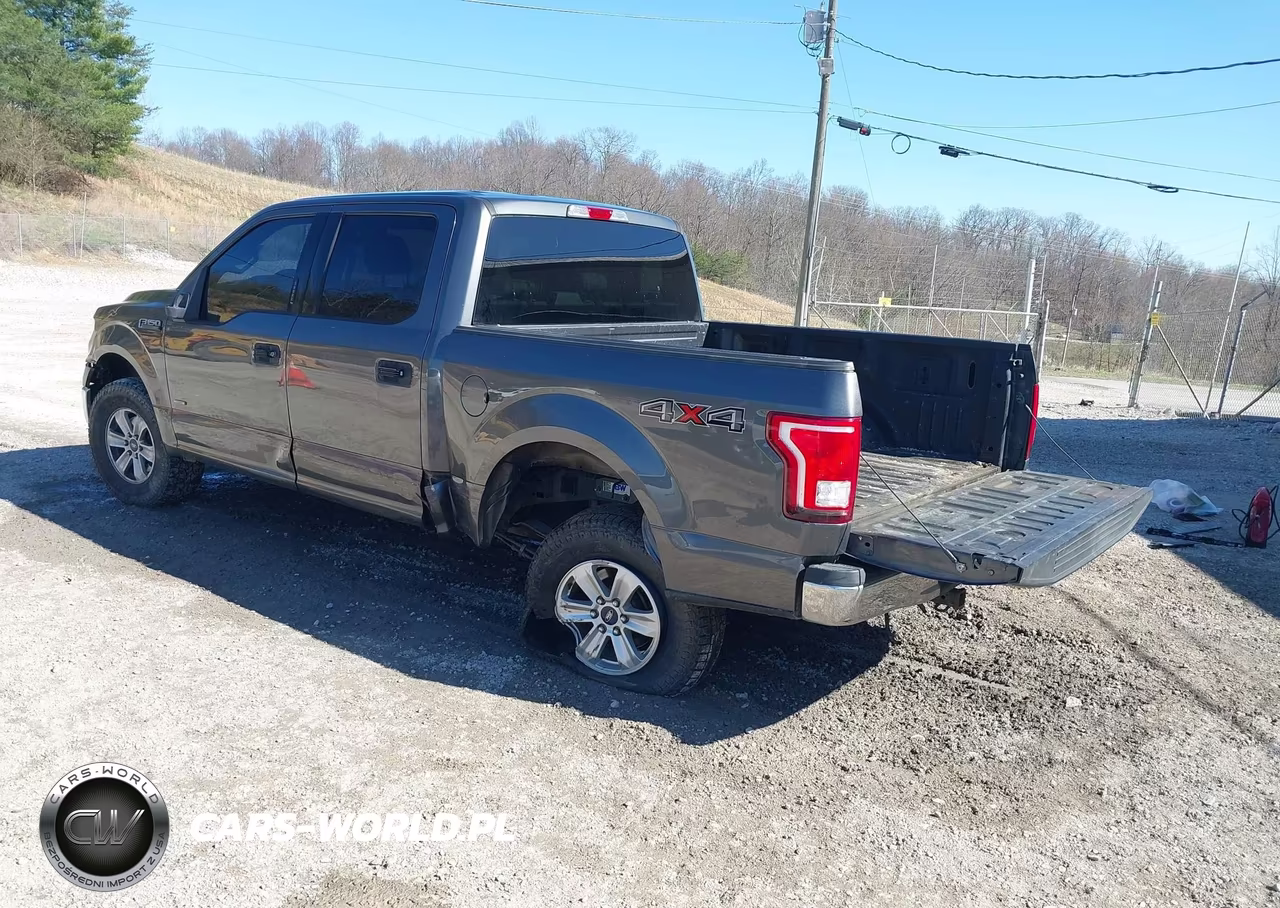 2015 Ford F-150 Xlt VIN:1FTEW1EG9FFA73521 - 3