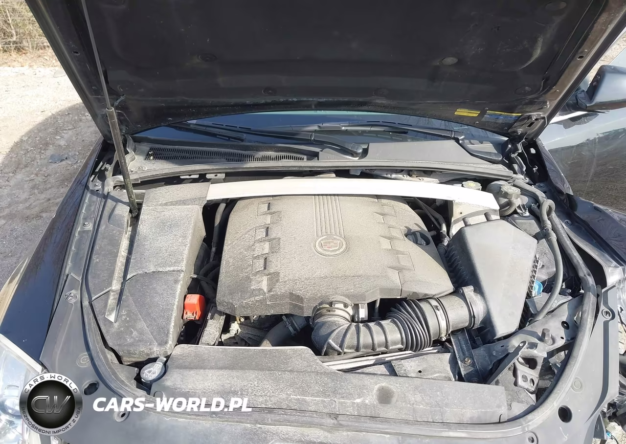 2009 Cadillac Cts Standard VIN:1G6DG577390160872 - 10