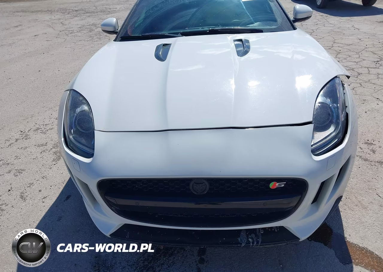 2014 Jaguar F-Type V8 S VIN:SAJWA6GL2EMK08683 - 12