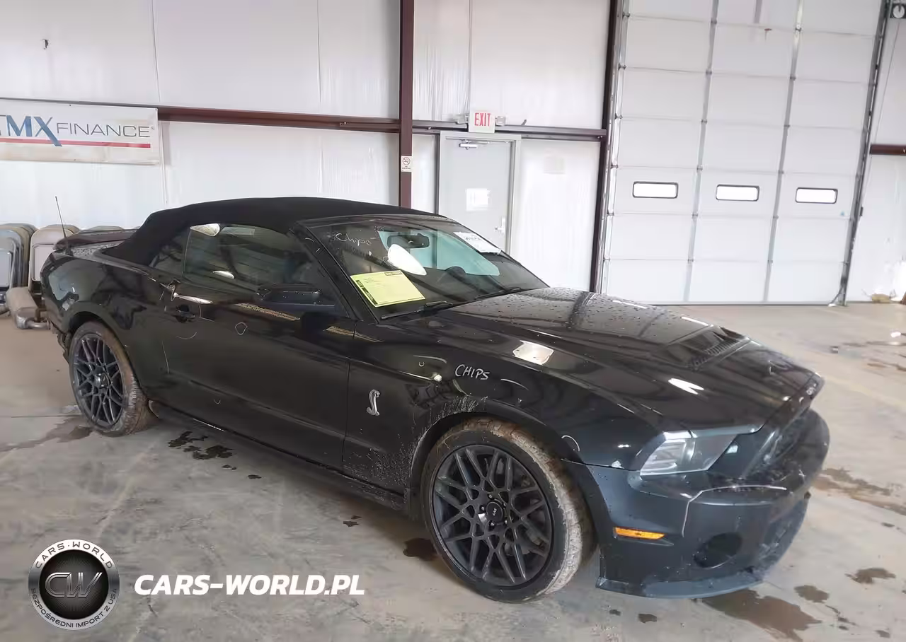 2014 Ford Shelby Gt500