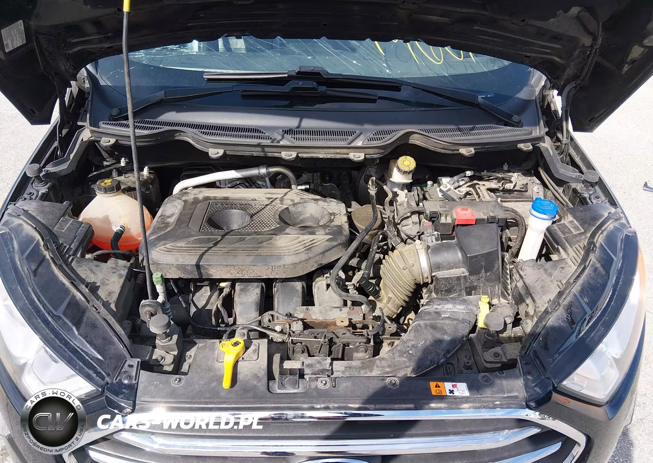 2019 Ford Ecosport Titanium VIN:MAJ6S3KL9KC274365 - 10