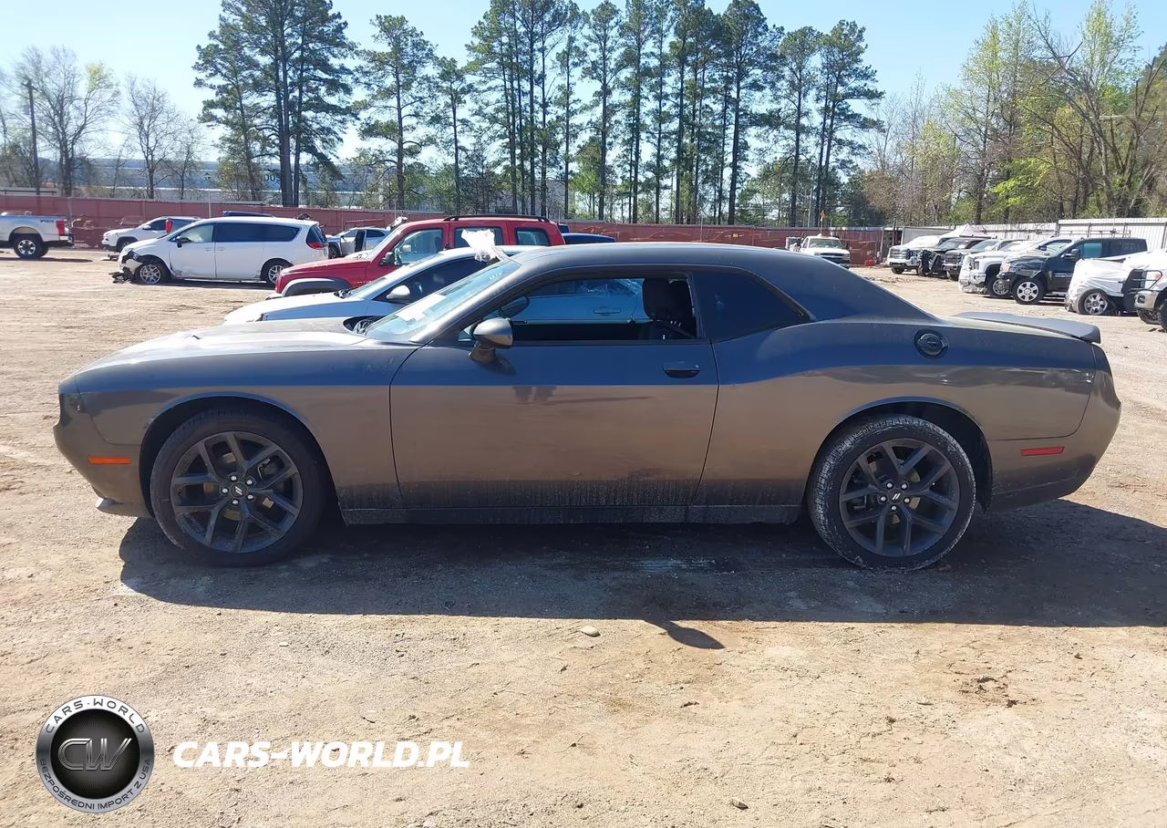 2019 Dodge Challenger Sxt VIN:2C3CDZAG6KH596350 - 14