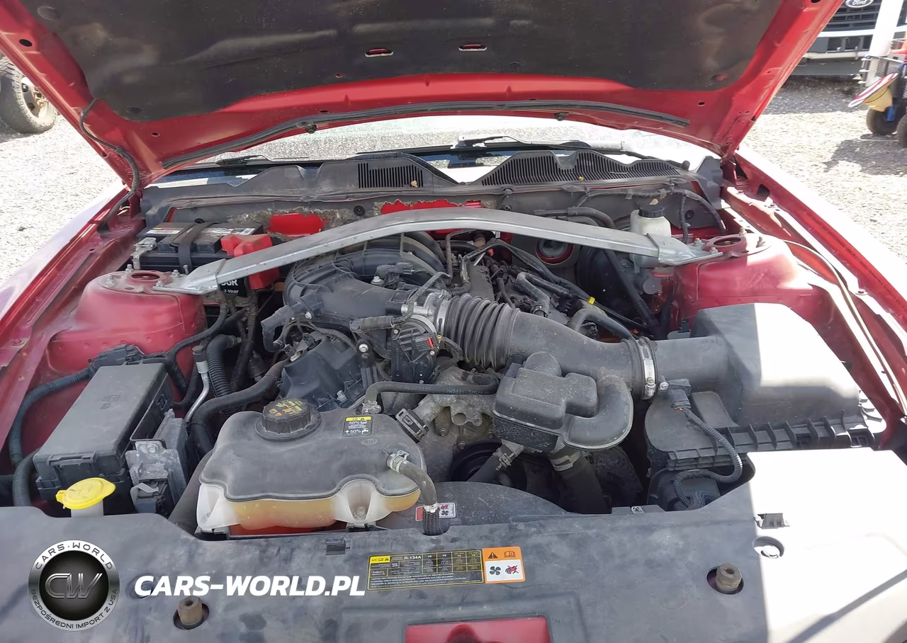 2011 Ford Mustang V6 Premium VIN:1ZVBP8EM8B5115446 - 10