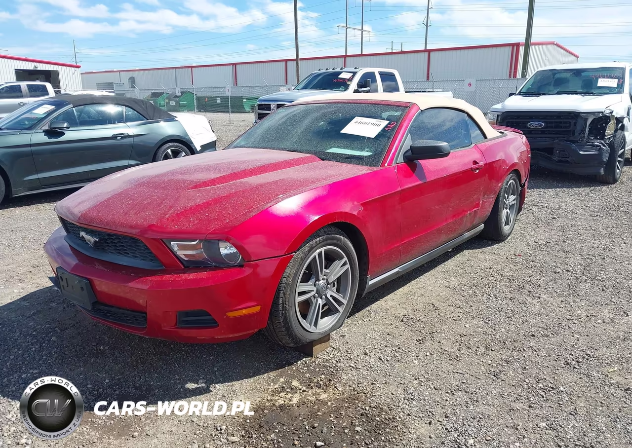 2011 Ford Mustang V6 Premium VIN:1ZVBP8EM8B5115446 - 2