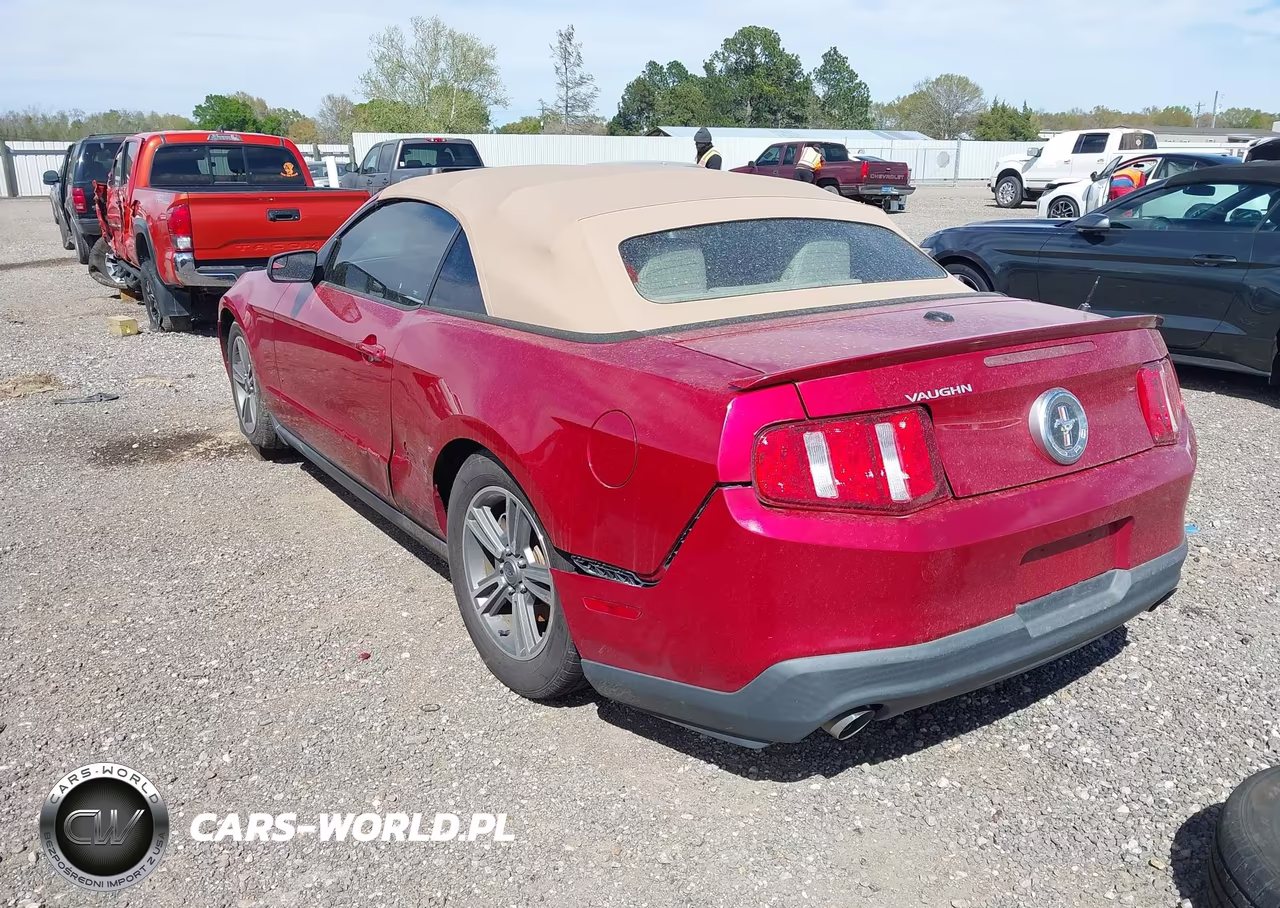2011 Ford Mustang V6 Premium VIN:1ZVBP8EM8B5115446 - 3
