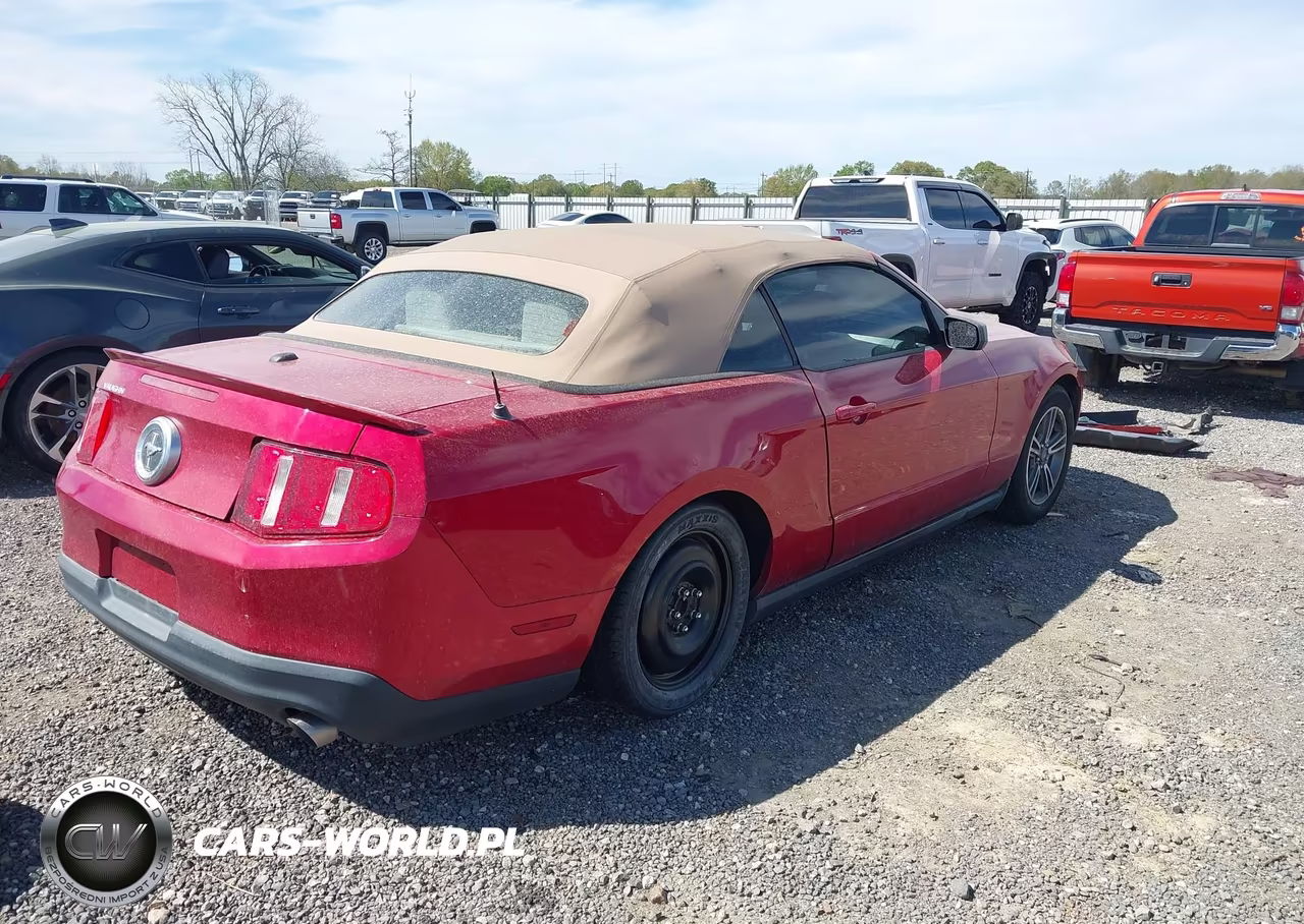 2011 Ford Mustang V6 Premium VIN:1ZVBP8EM8B5115446 - 4