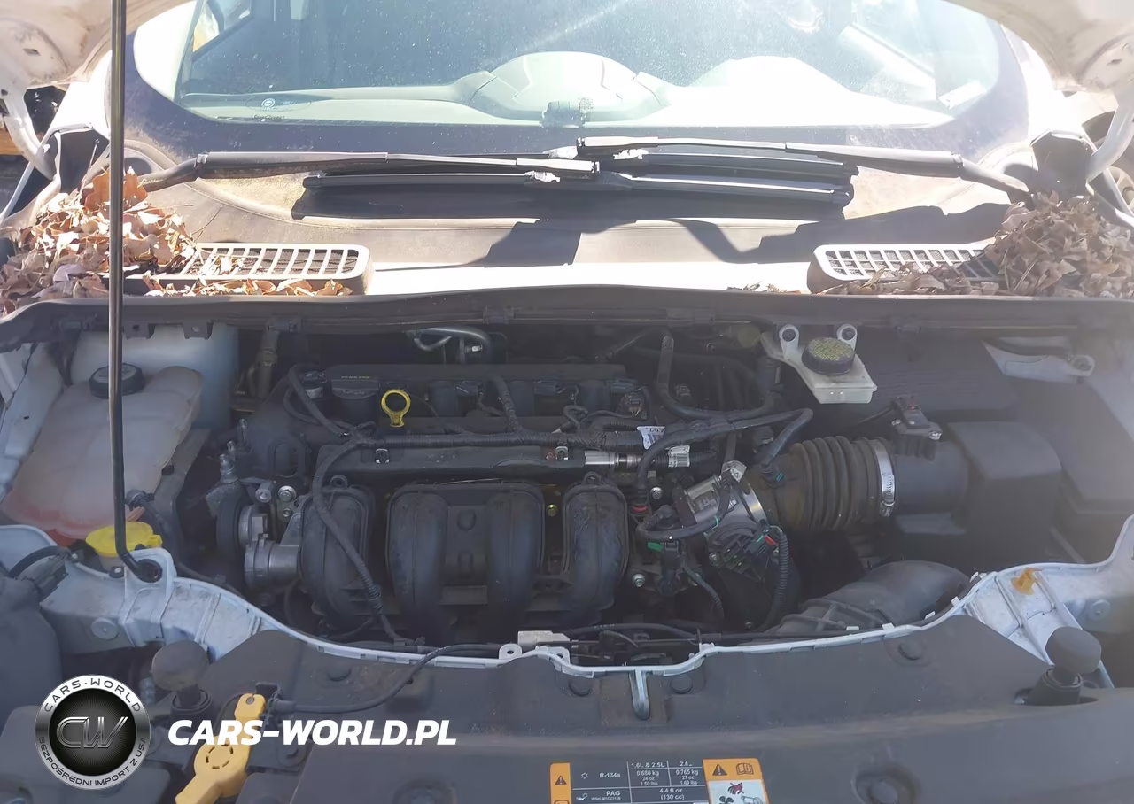 2013 Ford Escape S VIN:1FMCU0F71DUB09521 - 10