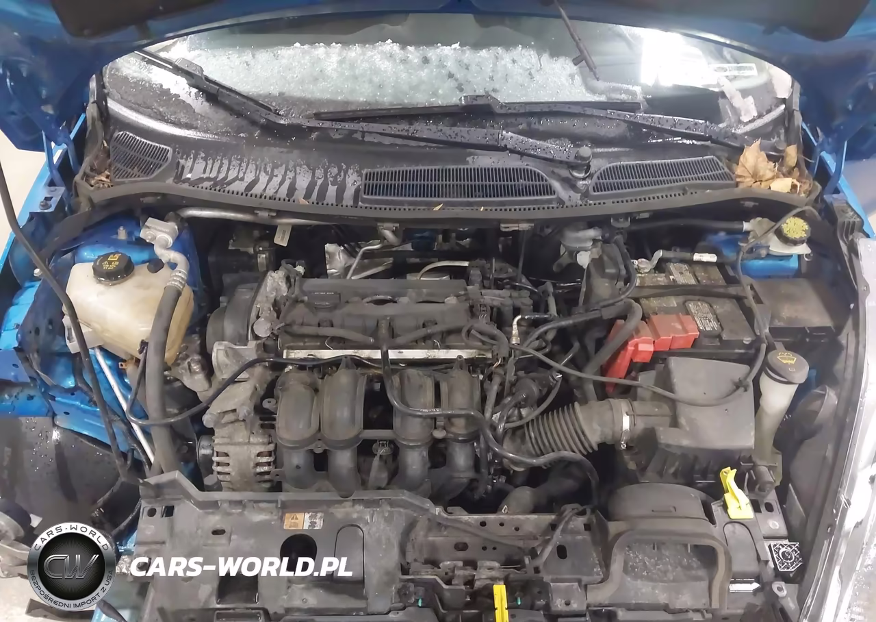 2014 Ford Fiesta Se VIN:3FADP4BJ9EM240412 - 10