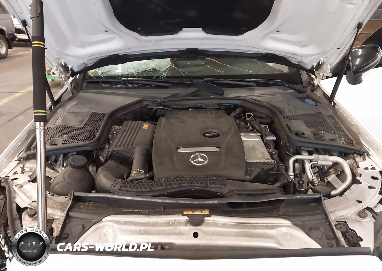 2018 Mercedes-Benz C 300 VIN:WDDWJ4JB8JF716762 - 10
