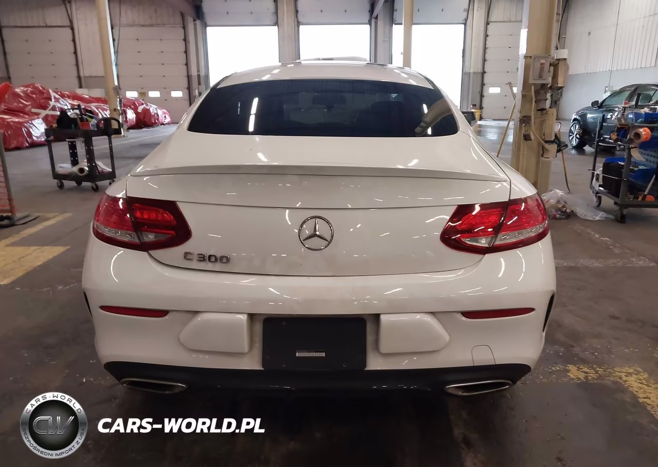 2018 Mercedes-Benz C 300 VIN:WDDWJ4JB8JF716762 - 16