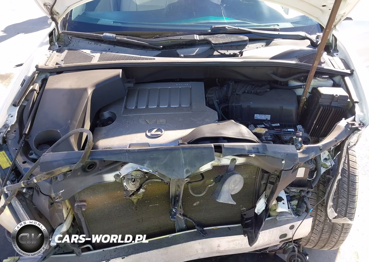 2009 Lexus Rx 350 VIN:2T2GK31U49C059028 - 10