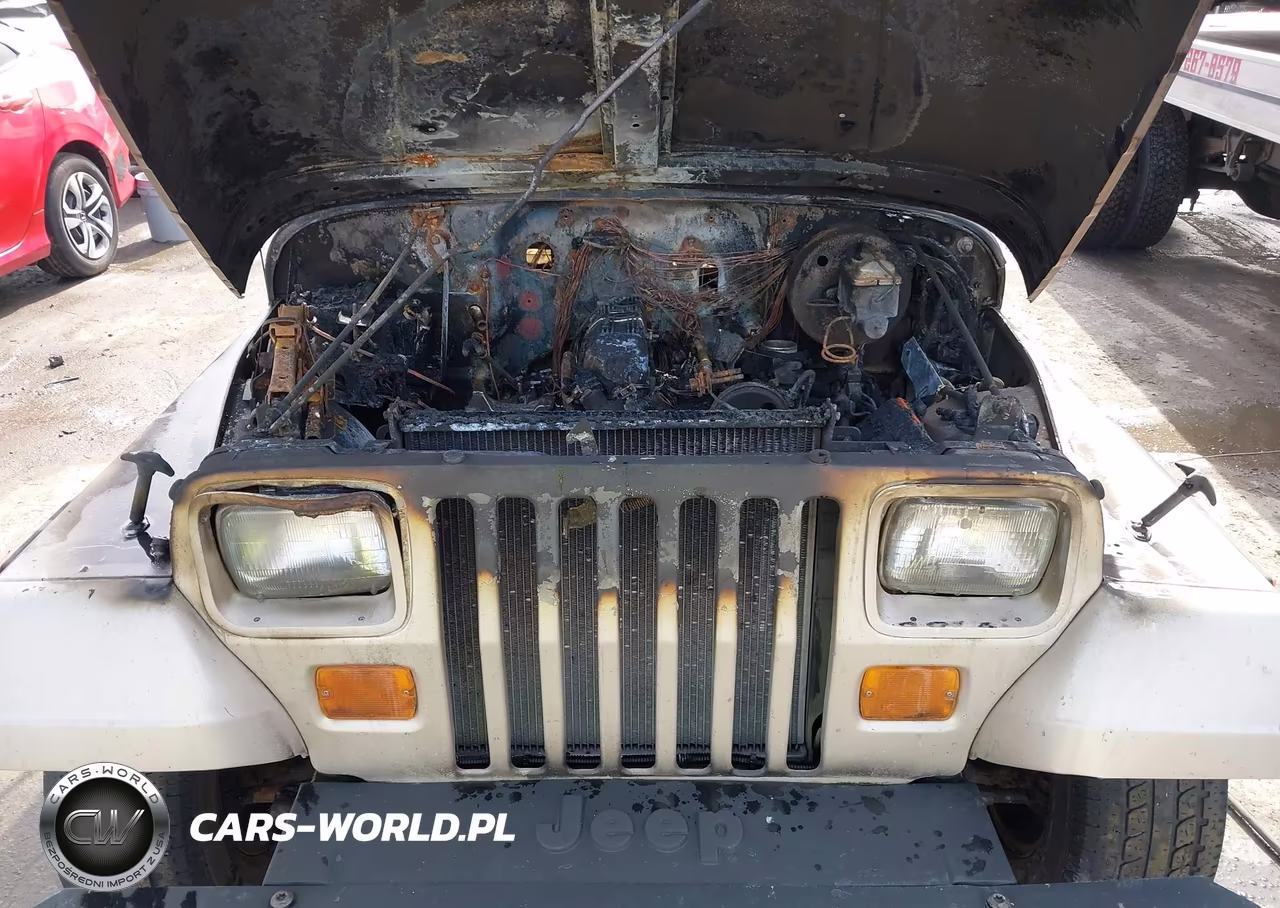 1995 Jeep Wrangler - Yj S-Rio Grande VIN:1J4FY19P4SP290935 - 10