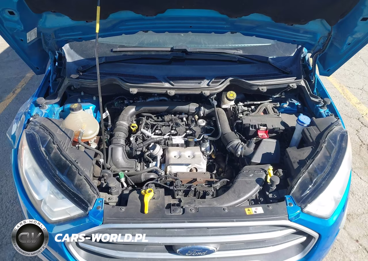 2018 Ford Ecosport Se VIN:MAJ3P1TE9JC220703 - 10