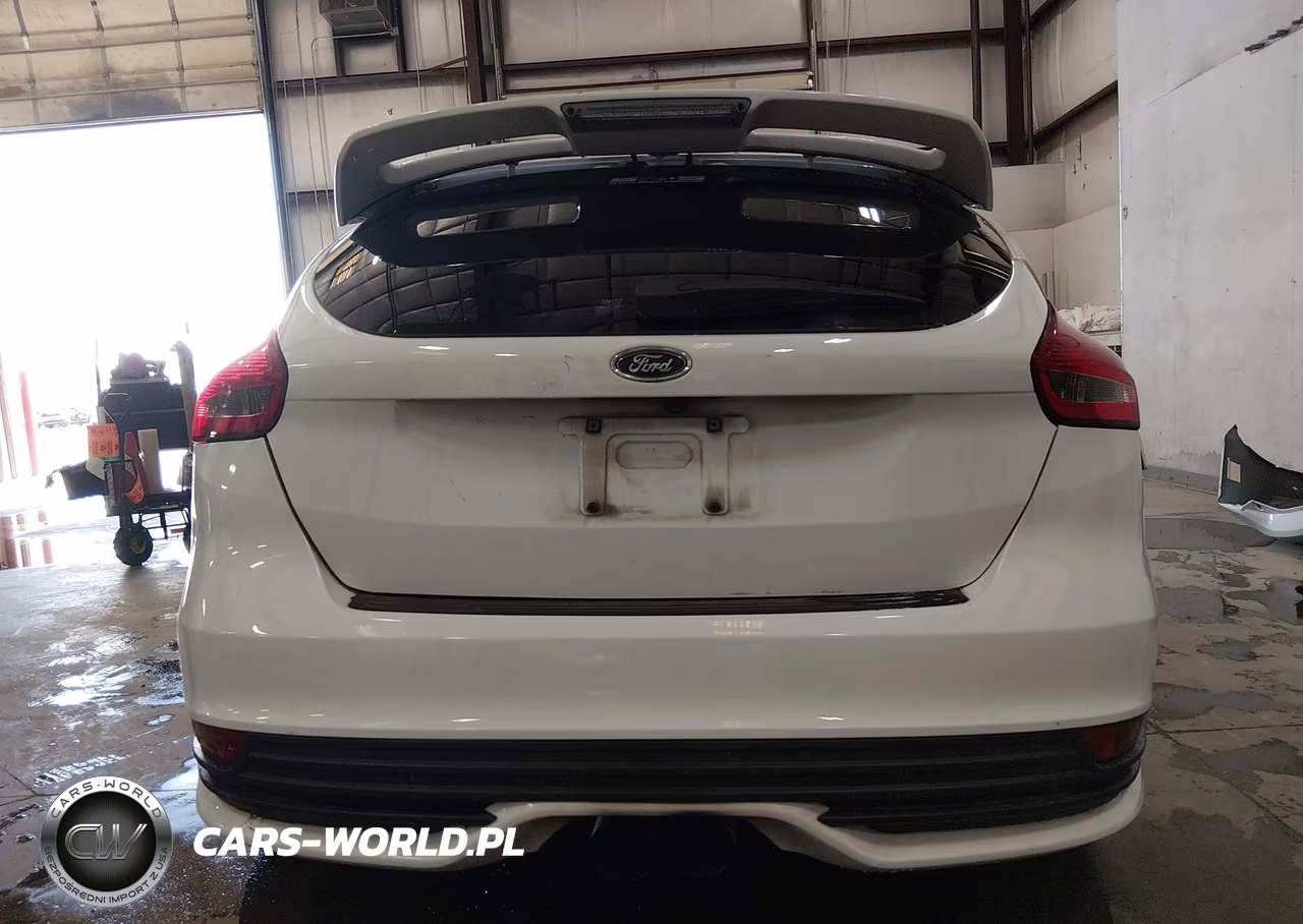 2018 Ford Focus St VIN:1FADP3L90JL322328 - 16