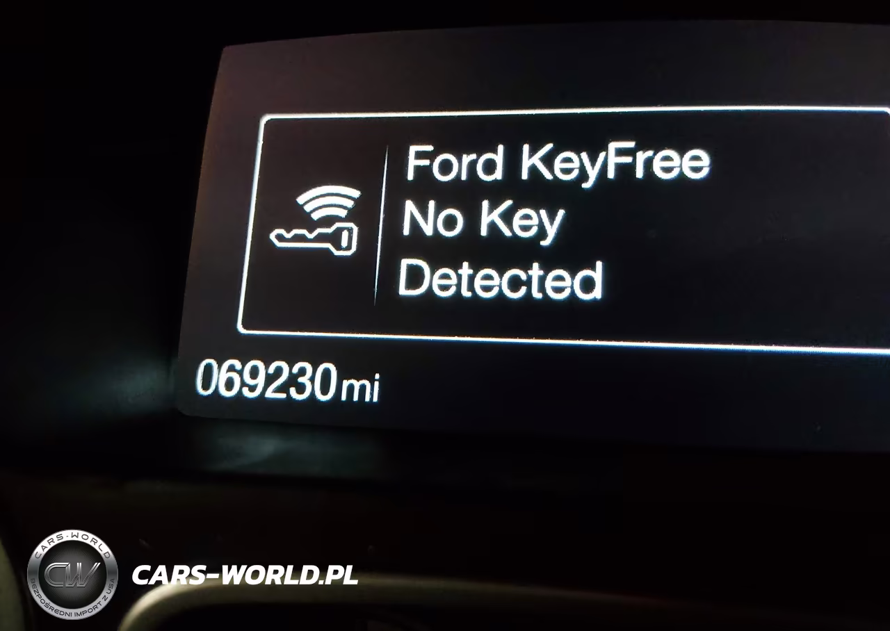 2018 Ford Focus St VIN:1FADP3L90JL322328 - 17