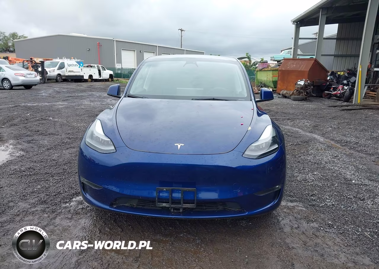 2023 Tesla Model Y Awd-Long Range Dual Motor All-Wheel Drive VIN:7SAYGDEE0PF770305 - 12