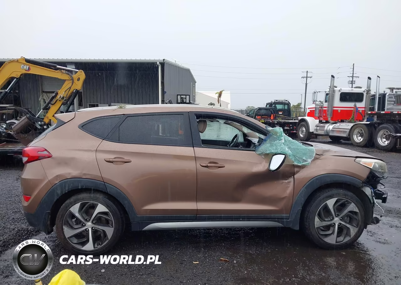 2017 Hyundai Tucson Sport VIN:KM8J33A27HU374666 - 13