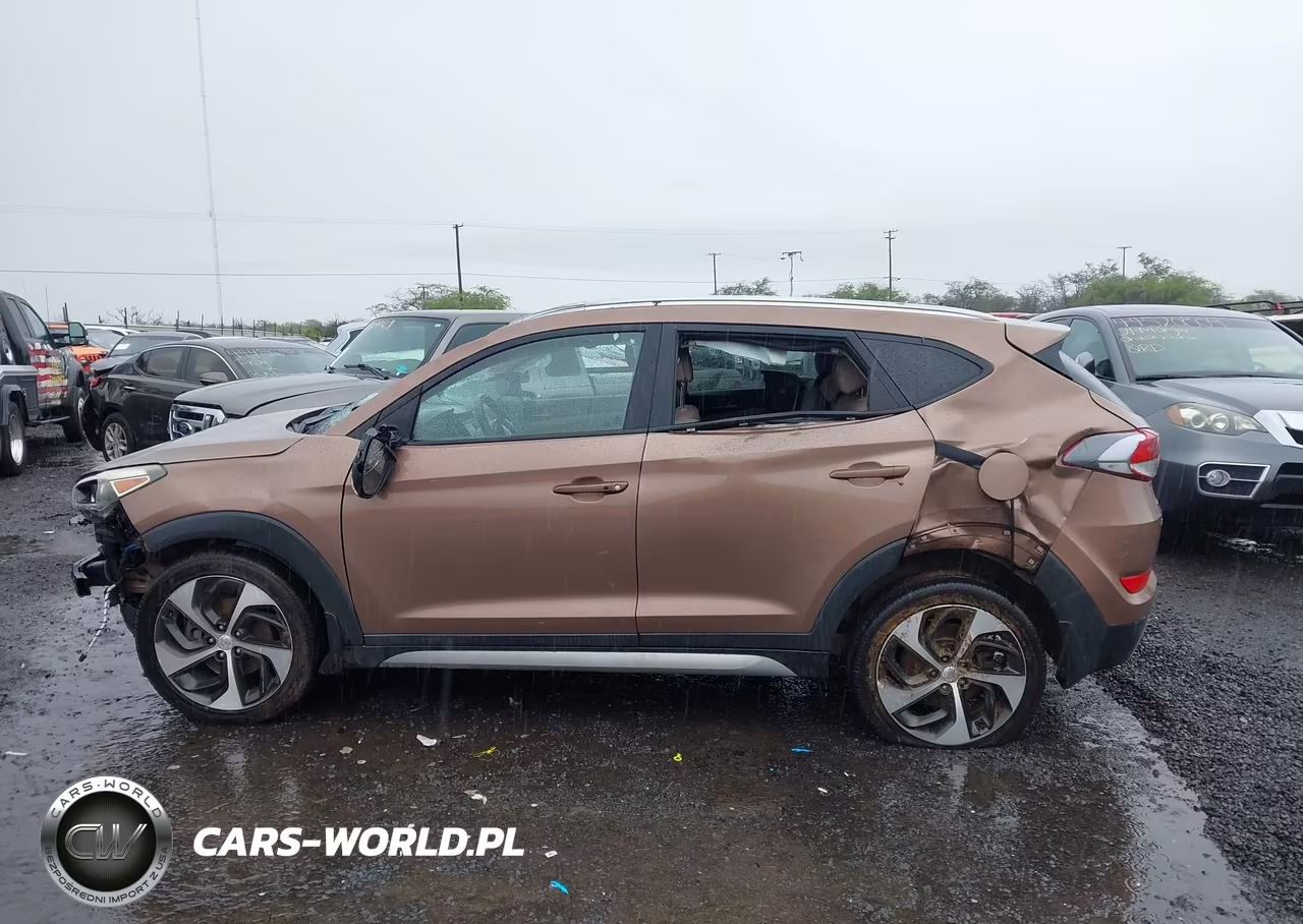 2017 Hyundai Tucson Sport VIN:KM8J33A27HU374666 - 14