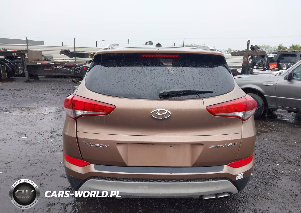 2017 Hyundai Tucson Sport VIN:KM8J33A27HU374666 - 16