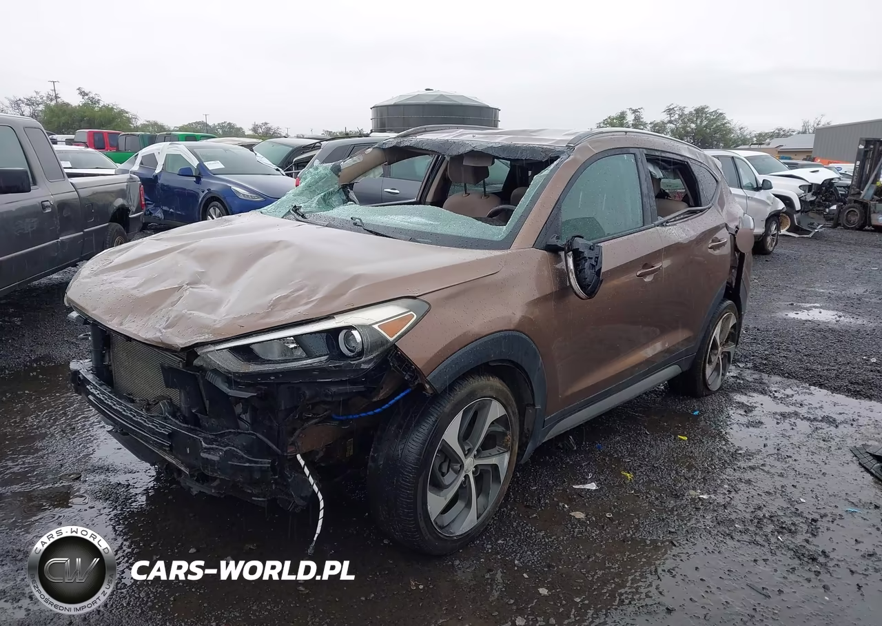 2017 Hyundai Tucson Sport VIN:KM8J33A27HU374666 - 2