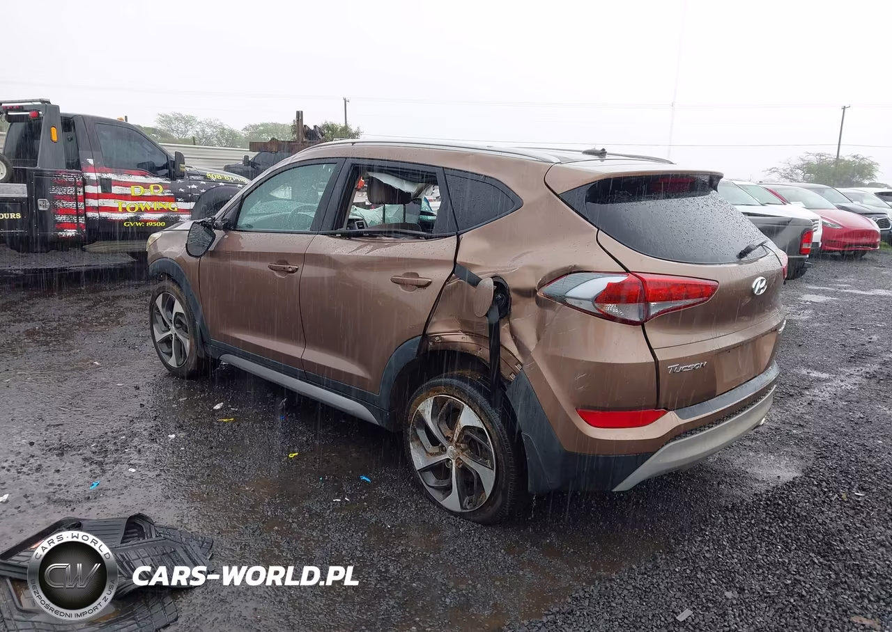 2017 Hyundai Tucson Sport VIN:KM8J33A27HU374666 - 3