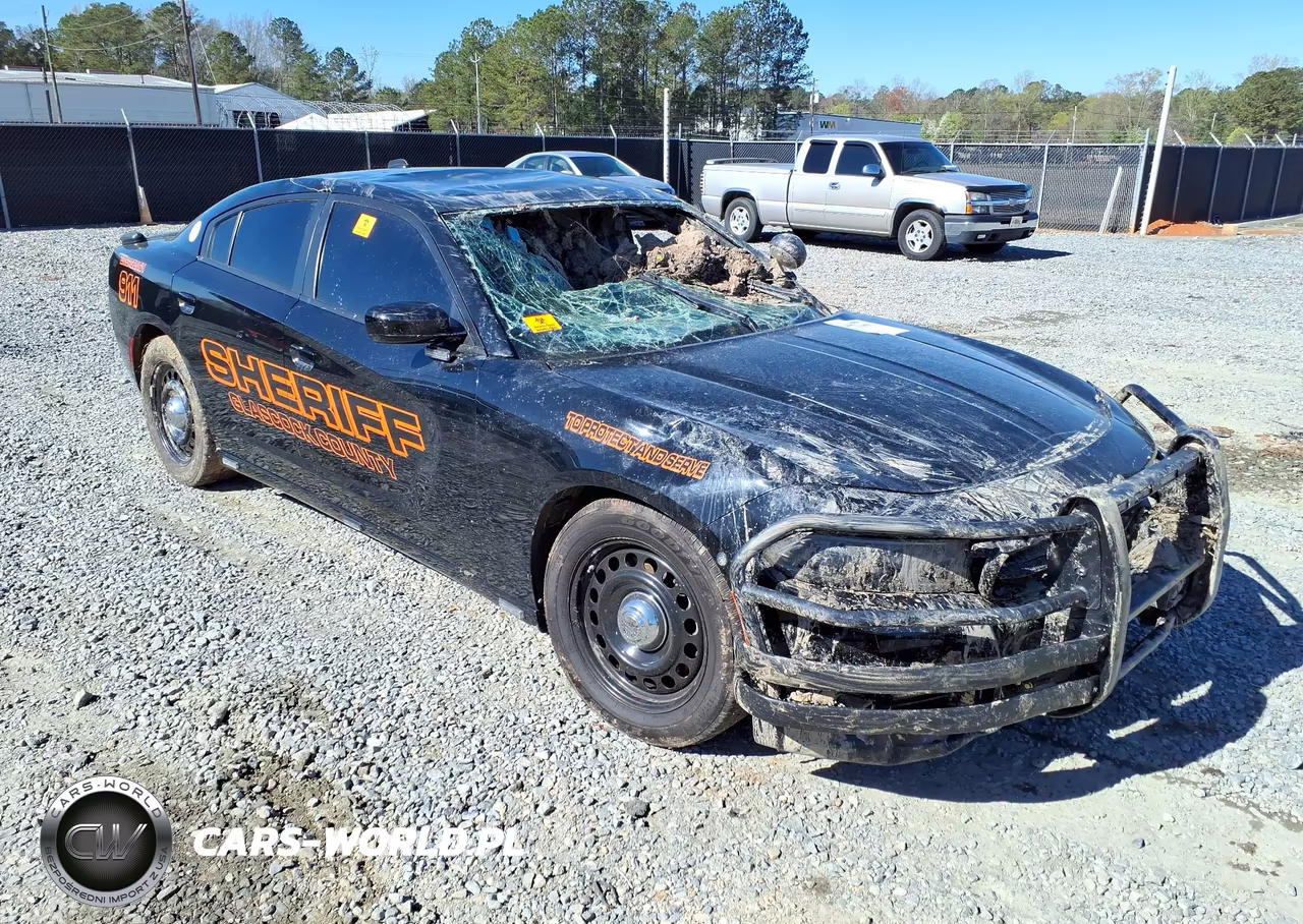 2019 Dodge Charger Police Awd