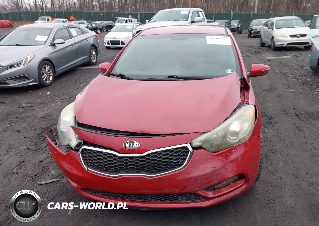 2014 Kia Forte Ex VIN:KNAFX4A80E5235393 - 12