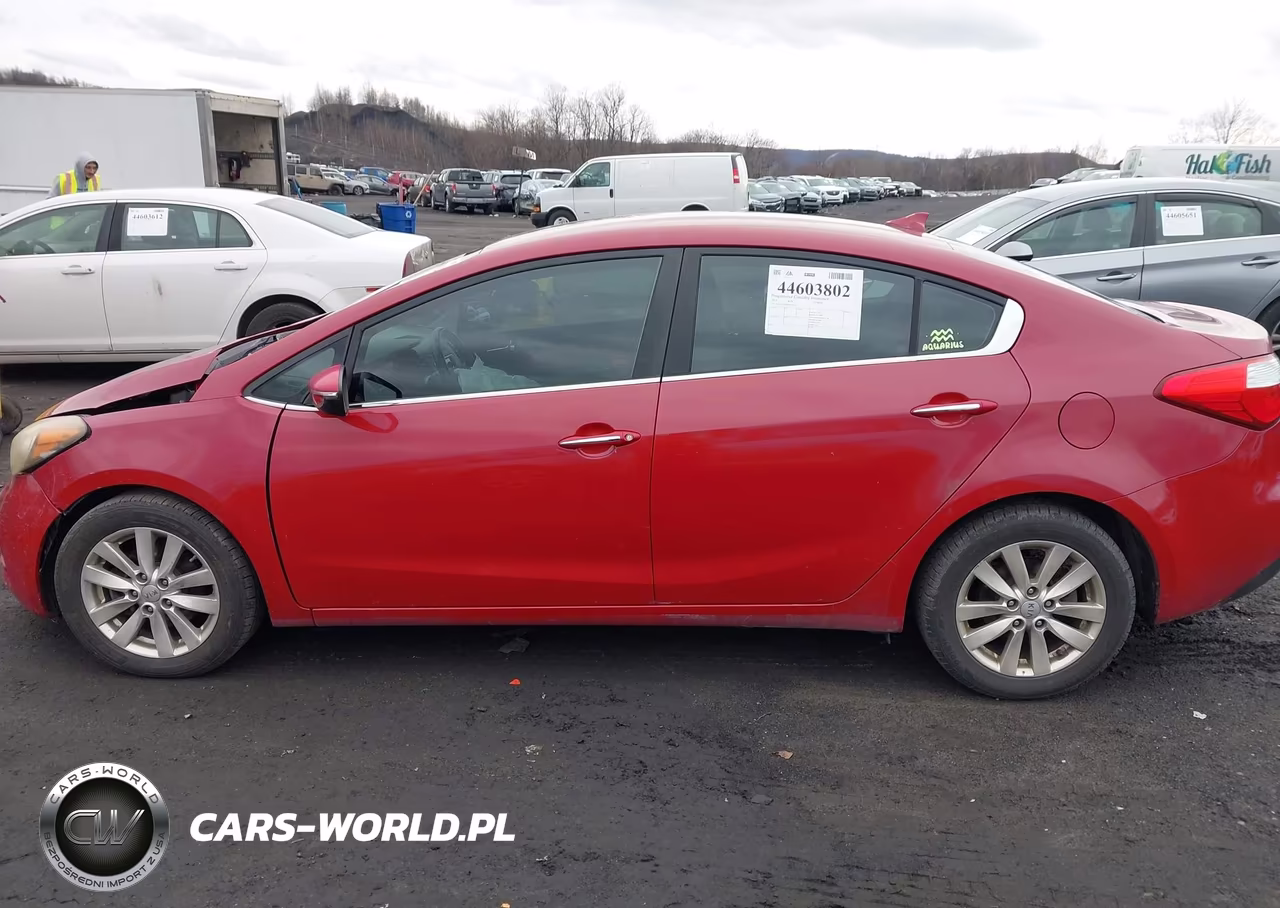 2014 Kia Forte Ex VIN:KNAFX4A80E5235393 - 14
