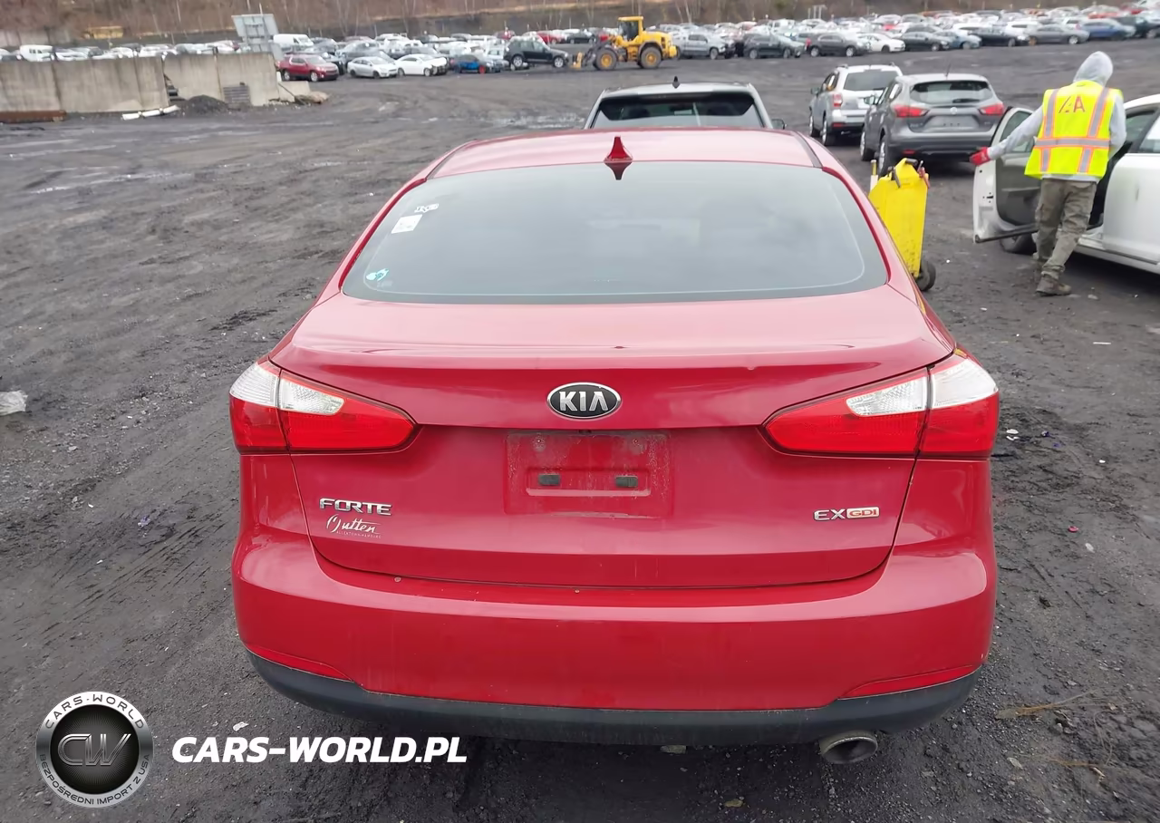 2014 Kia Forte Ex VIN:KNAFX4A80E5235393 - 16