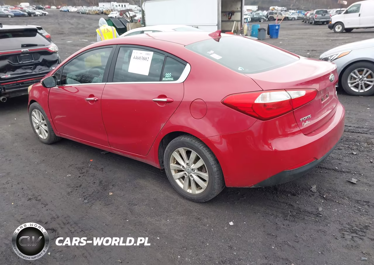 2014 Kia Forte Ex VIN:KNAFX4A80E5235393 - 3