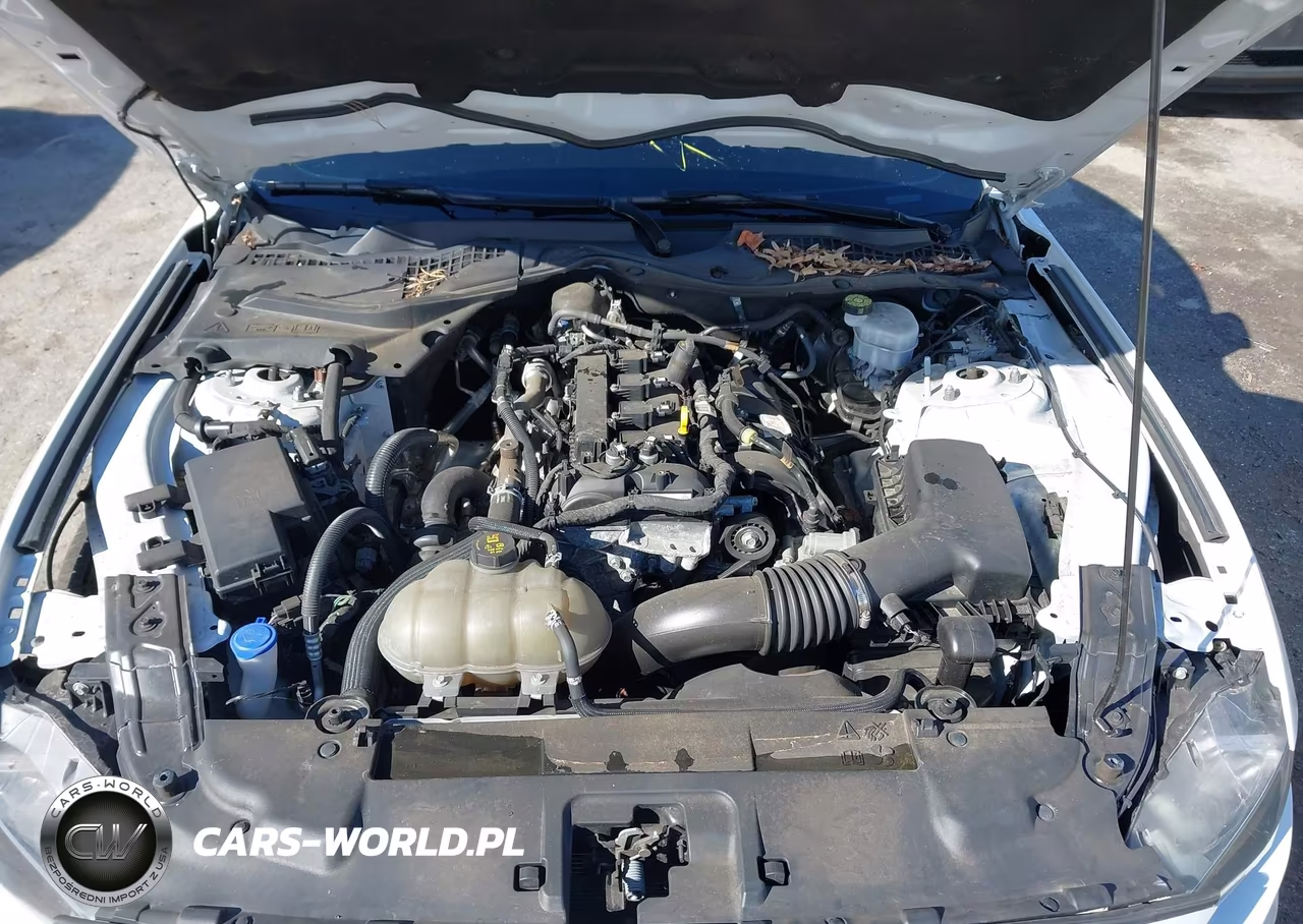 2022 Ford Mustang Ecoboost Fastback VIN:1FA6P8TH3N5118274 - 10