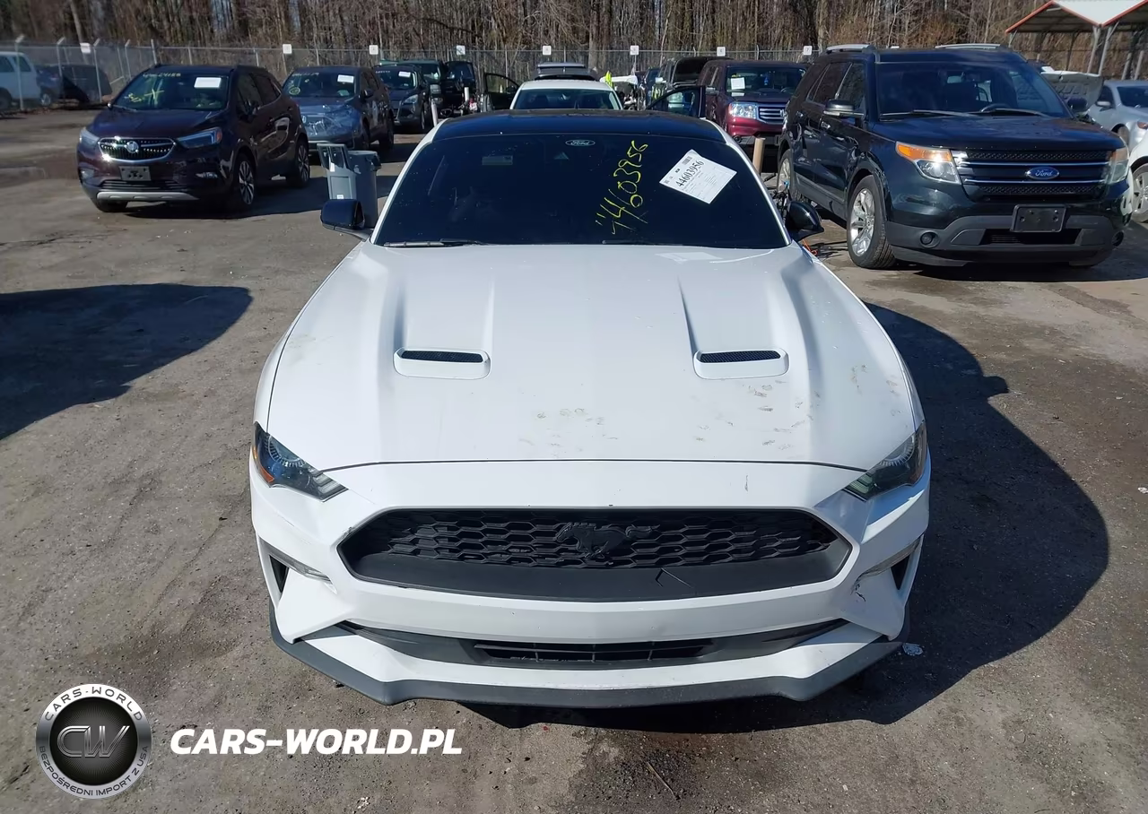 2022 Ford Mustang Ecoboost Fastback VIN:1FA6P8TH3N5118274 - 12