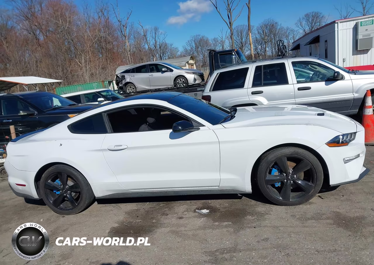 2022 Ford Mustang Ecoboost Fastback VIN:1FA6P8TH3N5118274 - 13