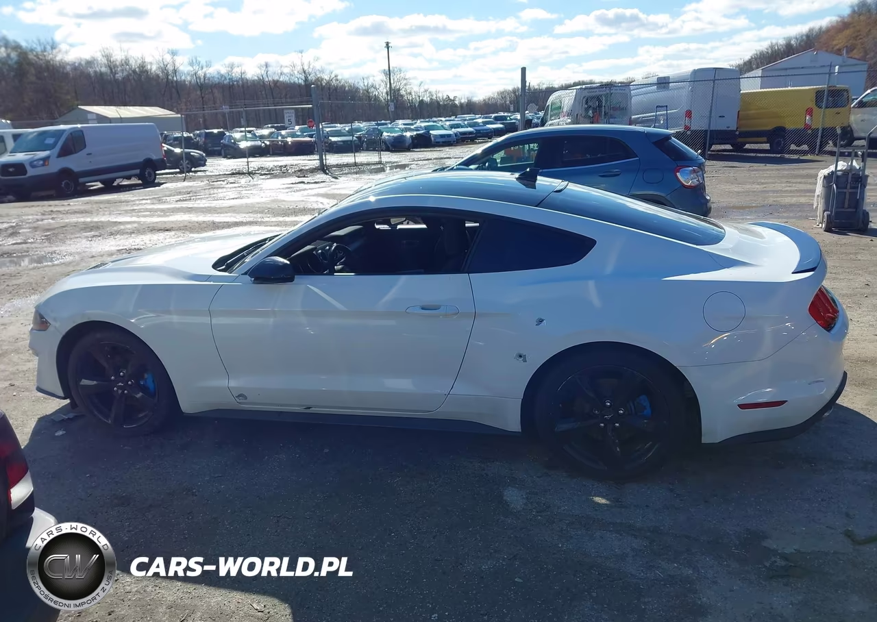 2022 Ford Mustang Ecoboost Fastback VIN:1FA6P8TH3N5118274 - 14