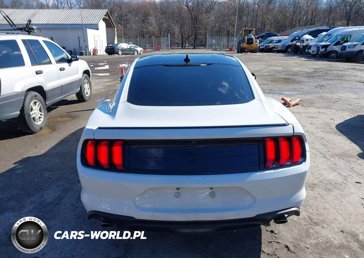 2022 Ford Mustang Ecoboost Fastback VIN:1FA6P8TH3N5118274 - 16