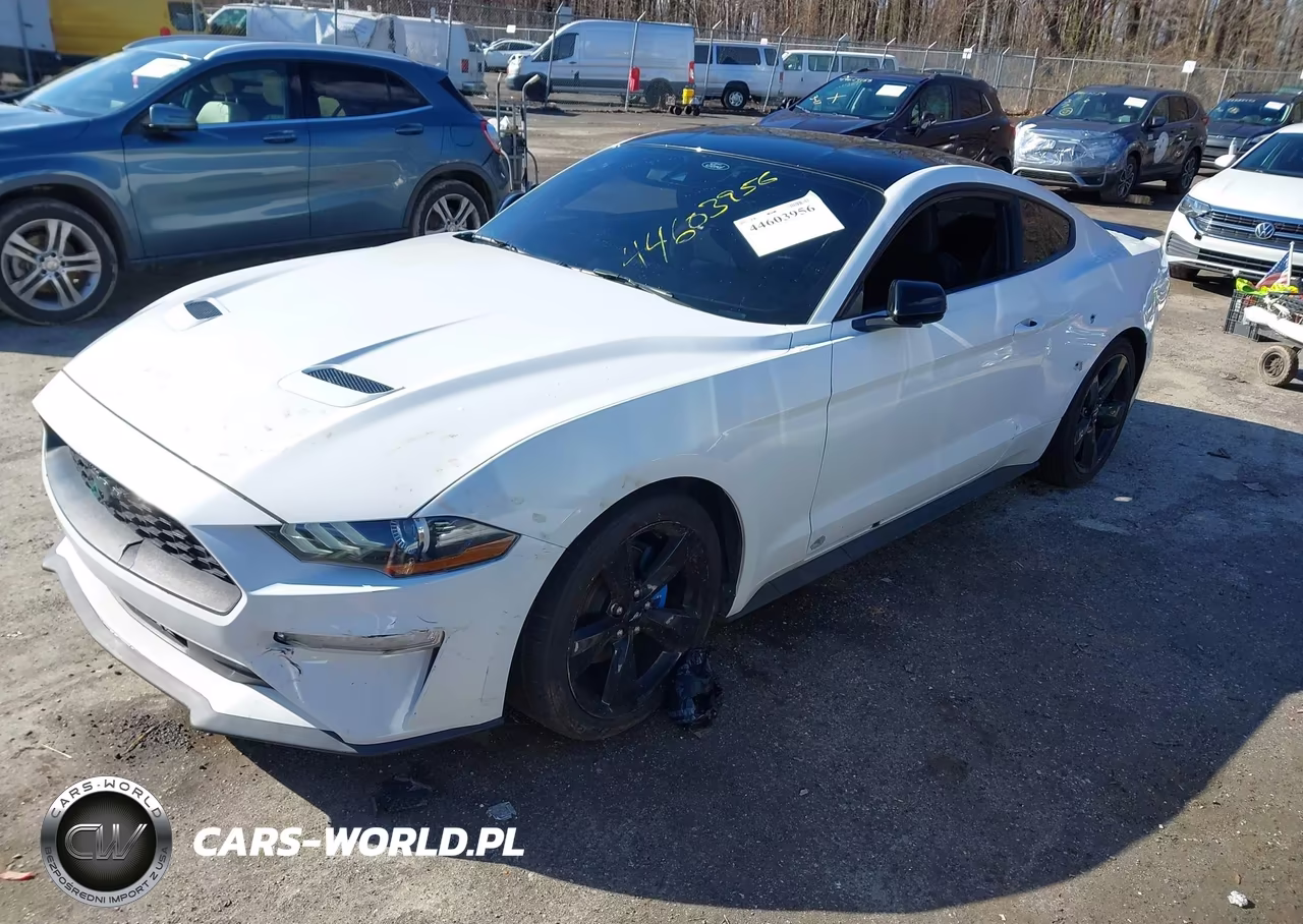 2022 Ford Mustang Ecoboost Fastback VIN:1FA6P8TH3N5118274 - 2
