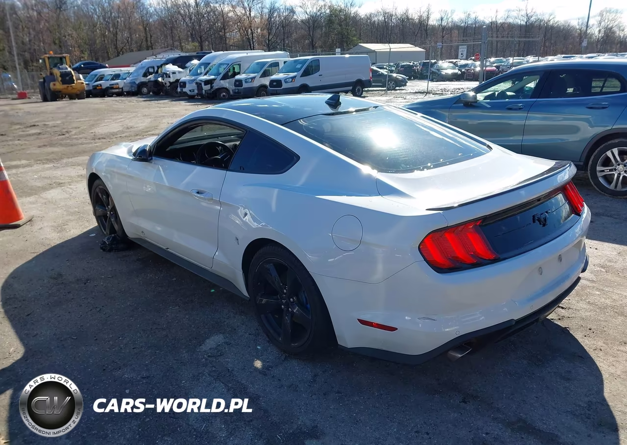 2022 Ford Mustang Ecoboost Fastback VIN:1FA6P8TH3N5118274 - 3