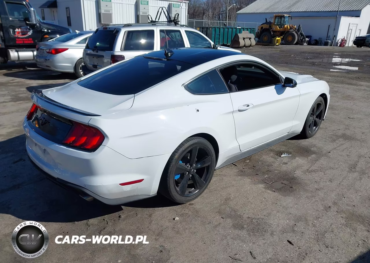 2022 Ford Mustang Ecoboost Fastback VIN:1FA6P8TH3N5118274 - 4