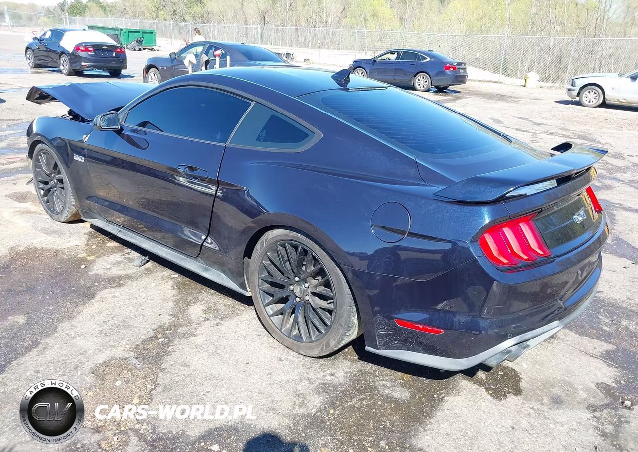 2021 Ford Mustang Gt Premium Fastback VIN:1FA6P8CF6M5125992 - 3