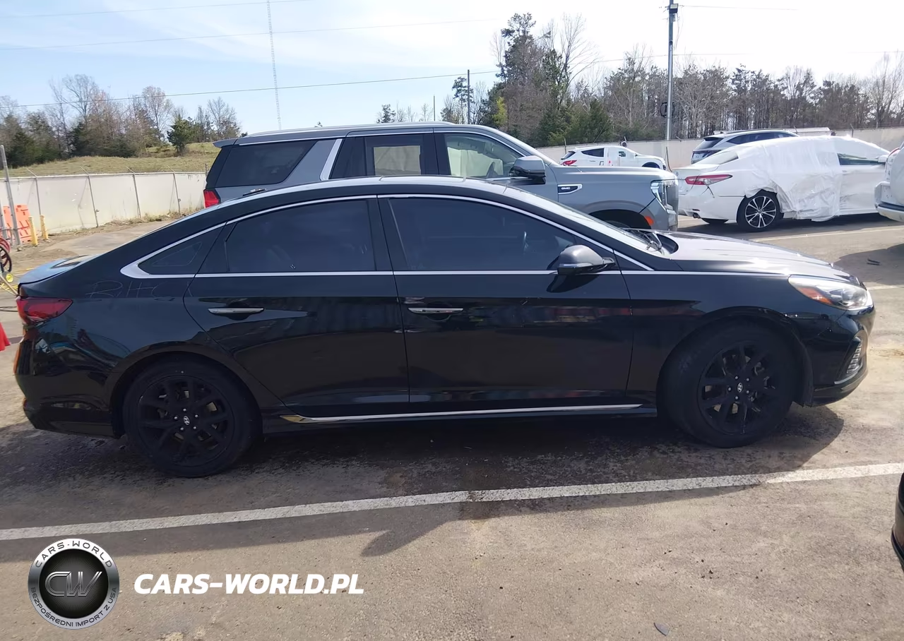 2018 Hyundai Sonata Limited 2.0T VIN:5NPE34AB1JH661979 - 13