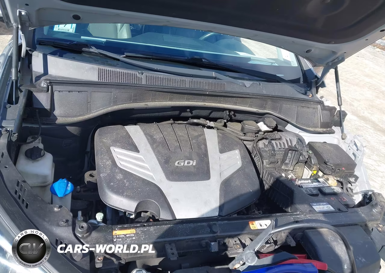 2017 Hyundai Santa Fe Limited Ultimate VIN:KM8SRDHF3HU185398 - 10