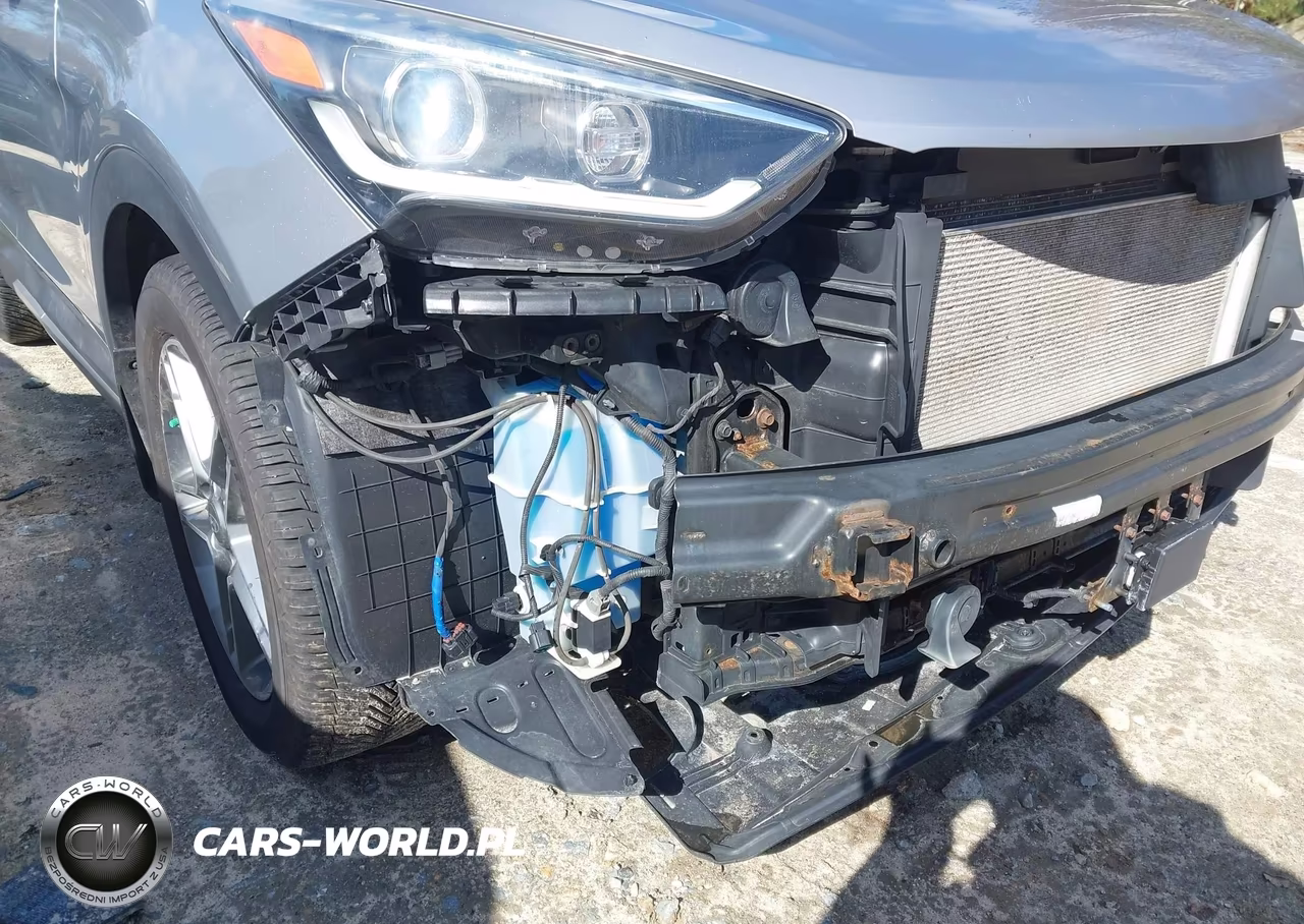 2017 Hyundai Santa Fe Limited Ultimate VIN:KM8SRDHF3HU185398 - 18