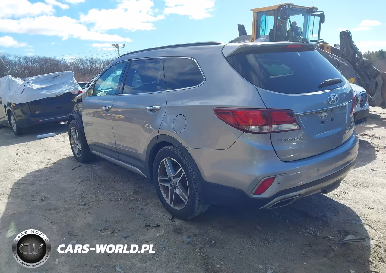 2017 Hyundai Santa Fe Limited Ultimate VIN:KM8SRDHF3HU185398 - 3