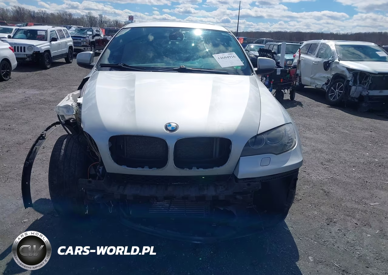 2011 BMW X6 xDrive35I VIN:5UXFG2C55BLX06406 - 12