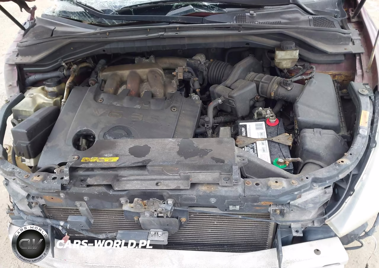 2005 Nissan Murano Sl VIN:JN8AZ08W35W410920 - 10