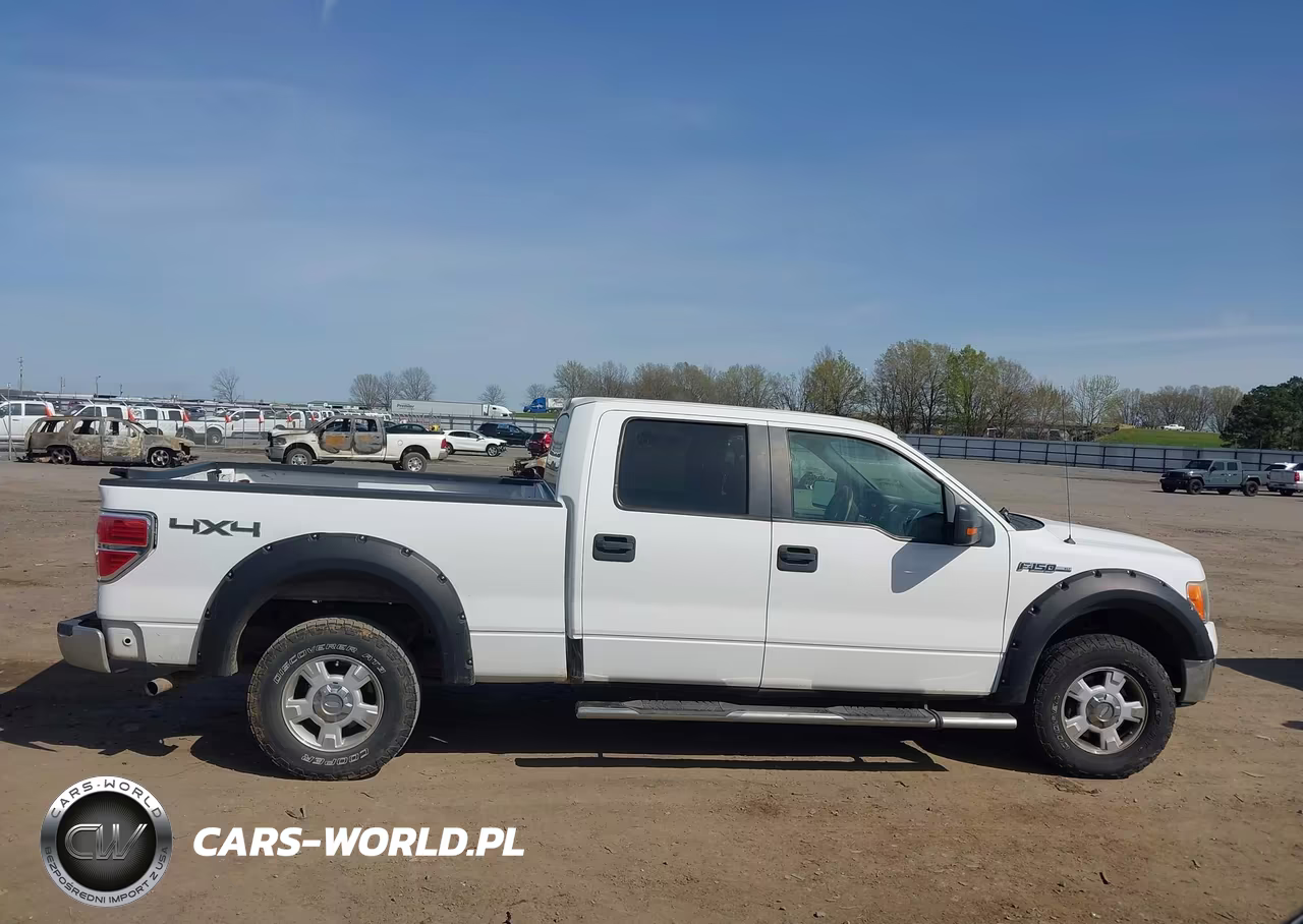 2010 Ford F-150 Fx4-Harley-Davidson-King Ranch-Lariat-Platinum-Xl-Xlt VIN:1FTFW1EV0AFB58758 - 14