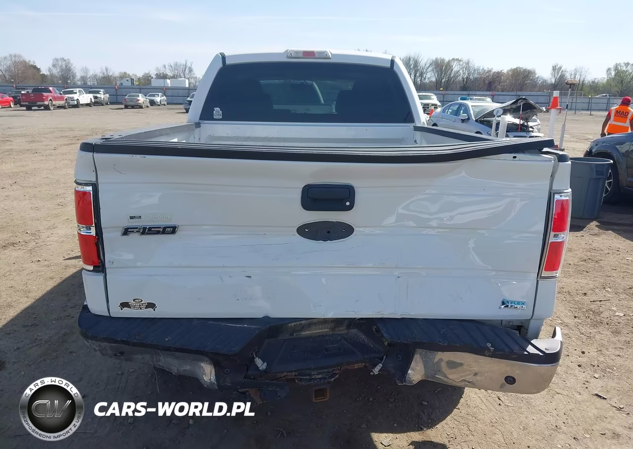 2010 Ford F-150 Fx4-Harley-Davidson-King Ranch-Lariat-Platinum-Xl-Xlt VIN:1FTFW1EV0AFB58758 - 17