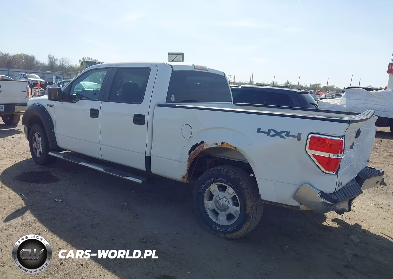 2010 Ford F-150 Fx4-Harley-Davidson-King Ranch-Lariat-Platinum-Xl-Xlt VIN:1FTFW1EV0AFB58758 - 3